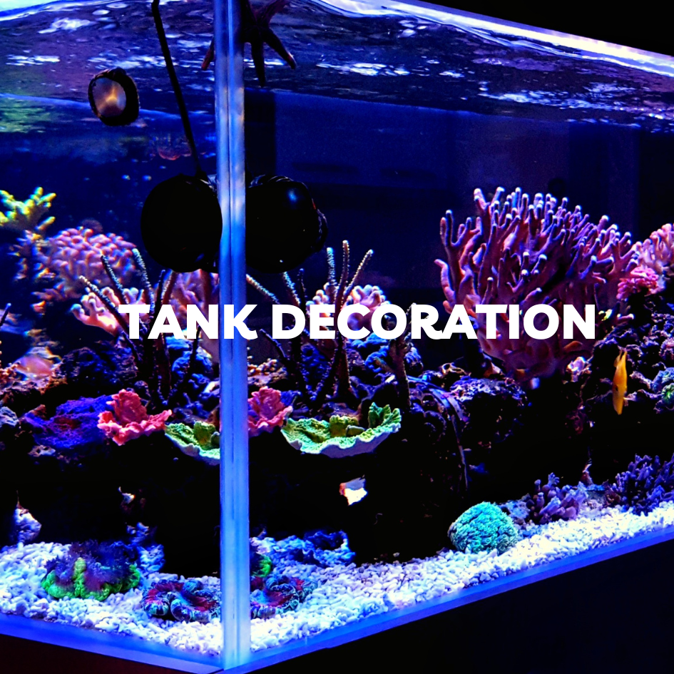 Tank Decorum Tank Decoration