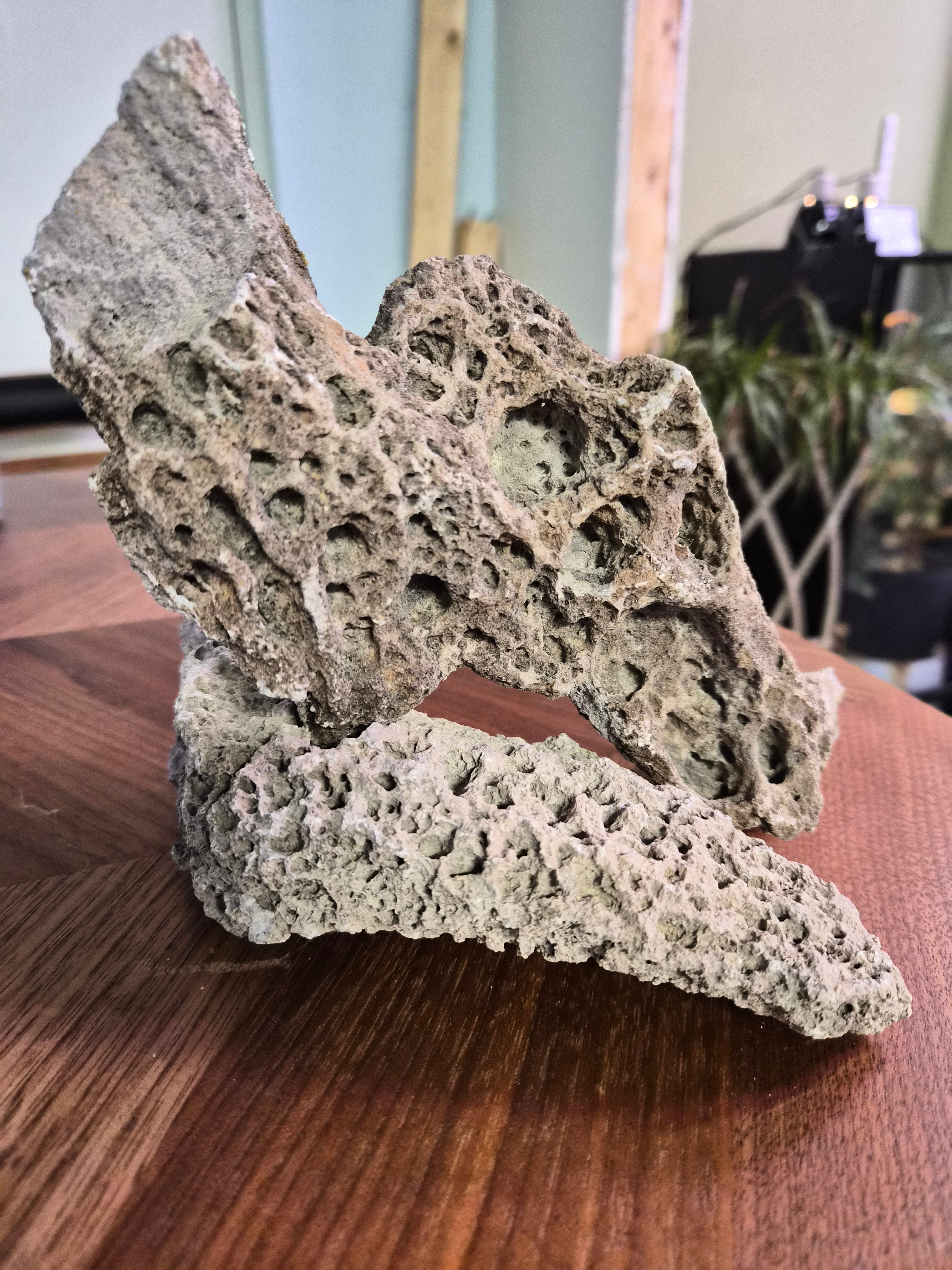 Lace Rock Sold by the Lb