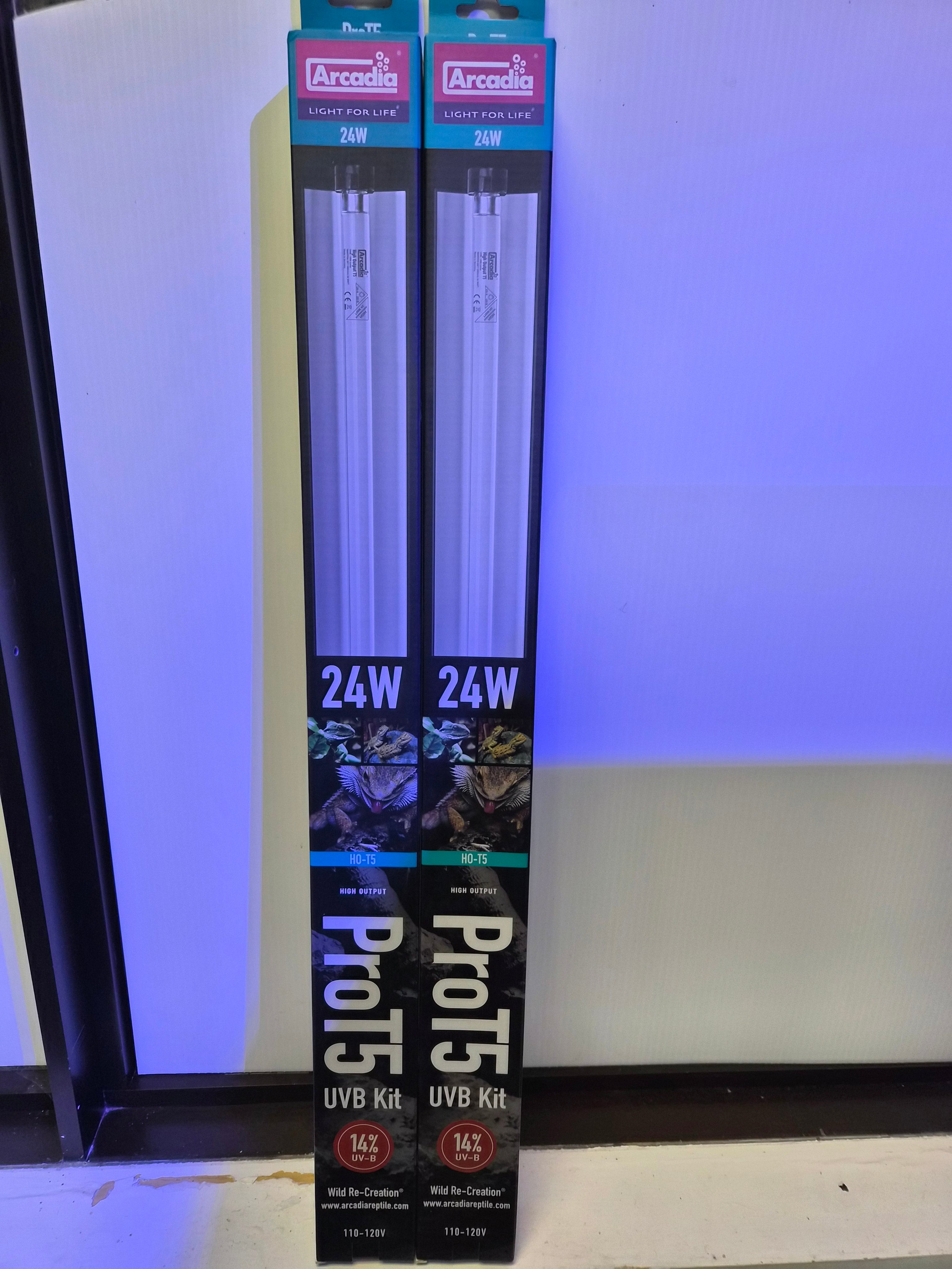 Arcadia Pro T5 Dragon