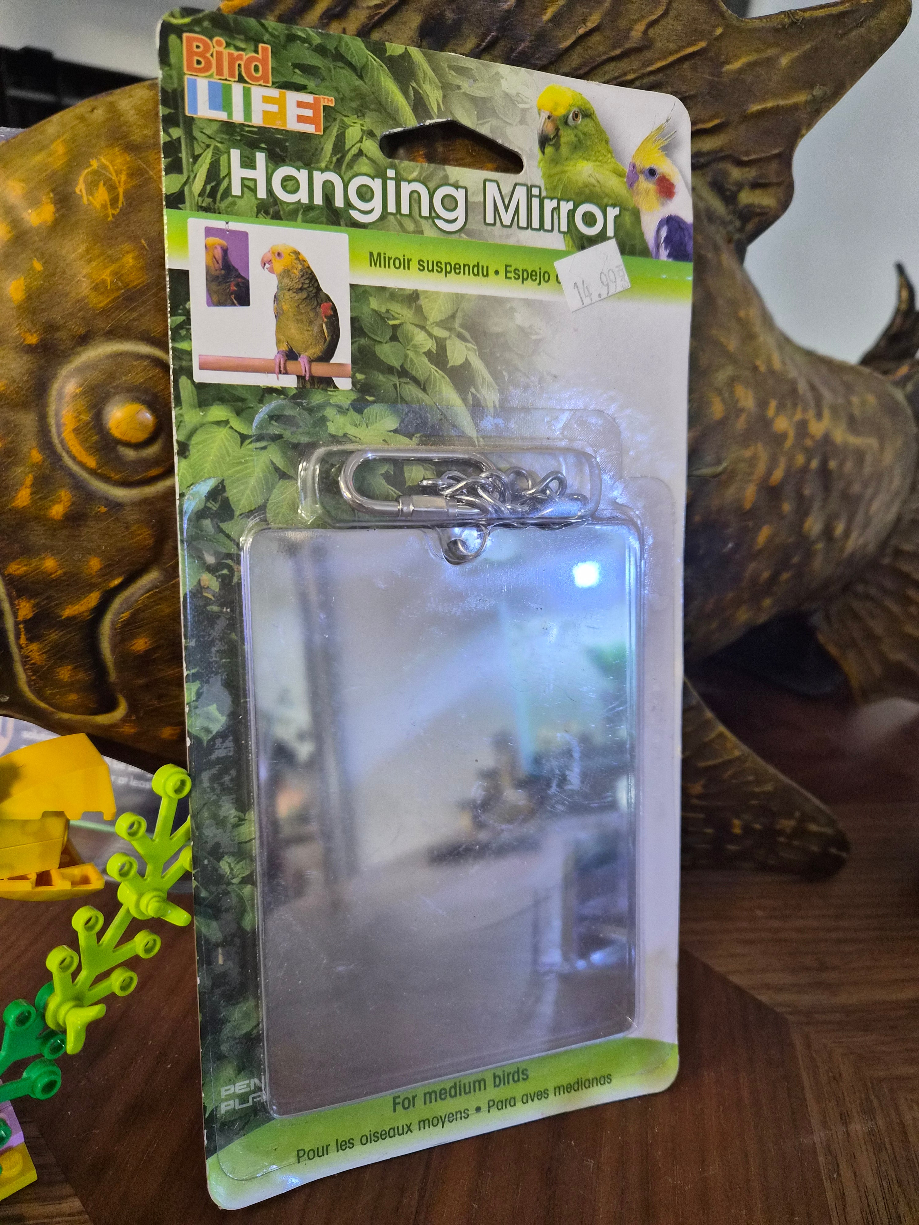 Bird Life Hanging Mirror