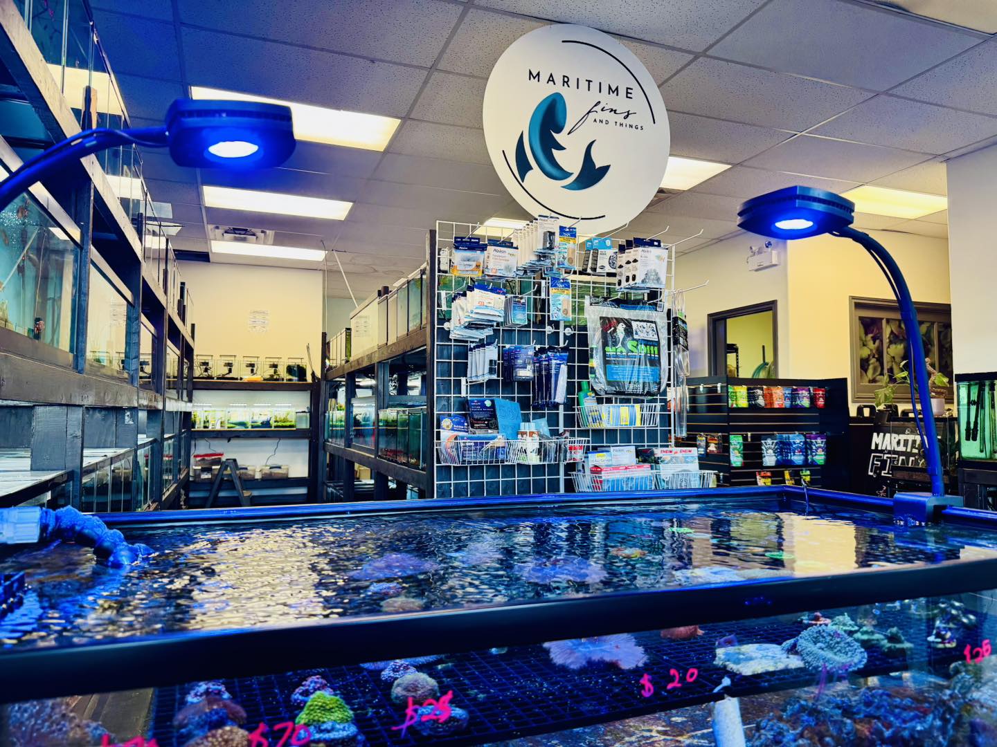 水族館　MARINETIME Aquarium Shop & Pet Supplies in Nova Scotia & Canada