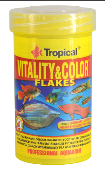 Tropical Vitality and Color